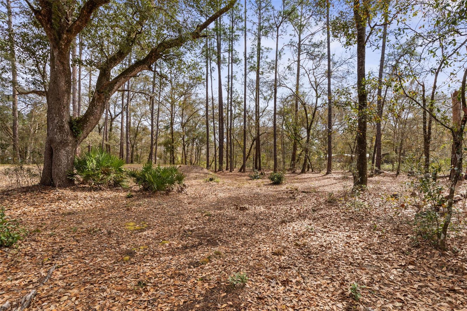 FLAGLER ESTATES - Residential