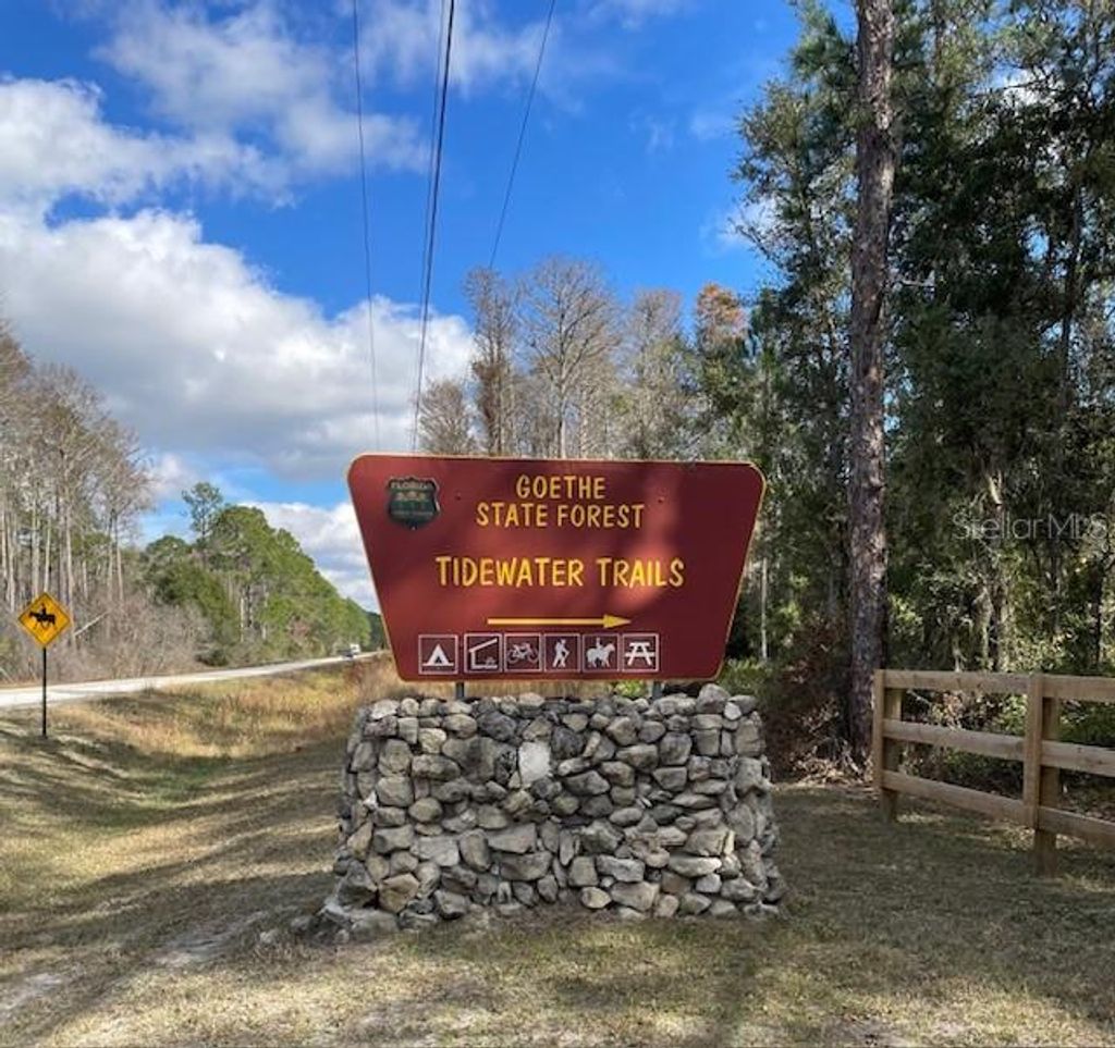 Photo of 0 SE 139 Court, Dunnellon, FL 34434 (MLS # OM714395)