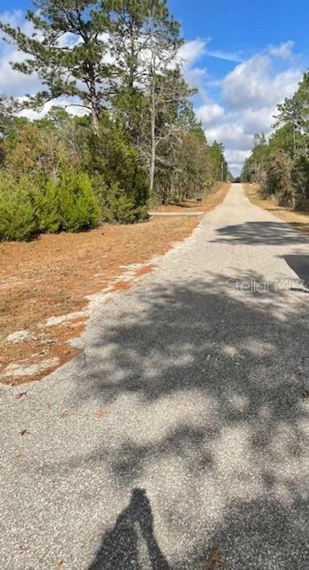 Photo of 0 SE 139 Court, Dunnellon, FL 34434 (MLS # OM714395)