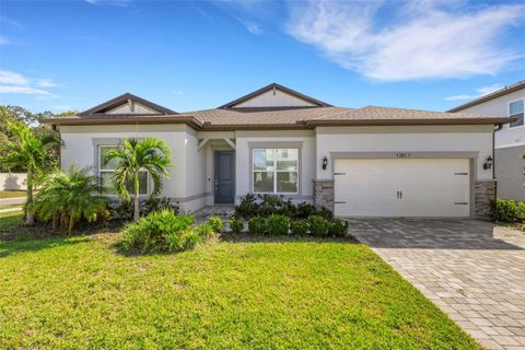 Photo of 13817 Sharp Hawk Drive, Riverview, FL 33569 (MLS # TB8423334)