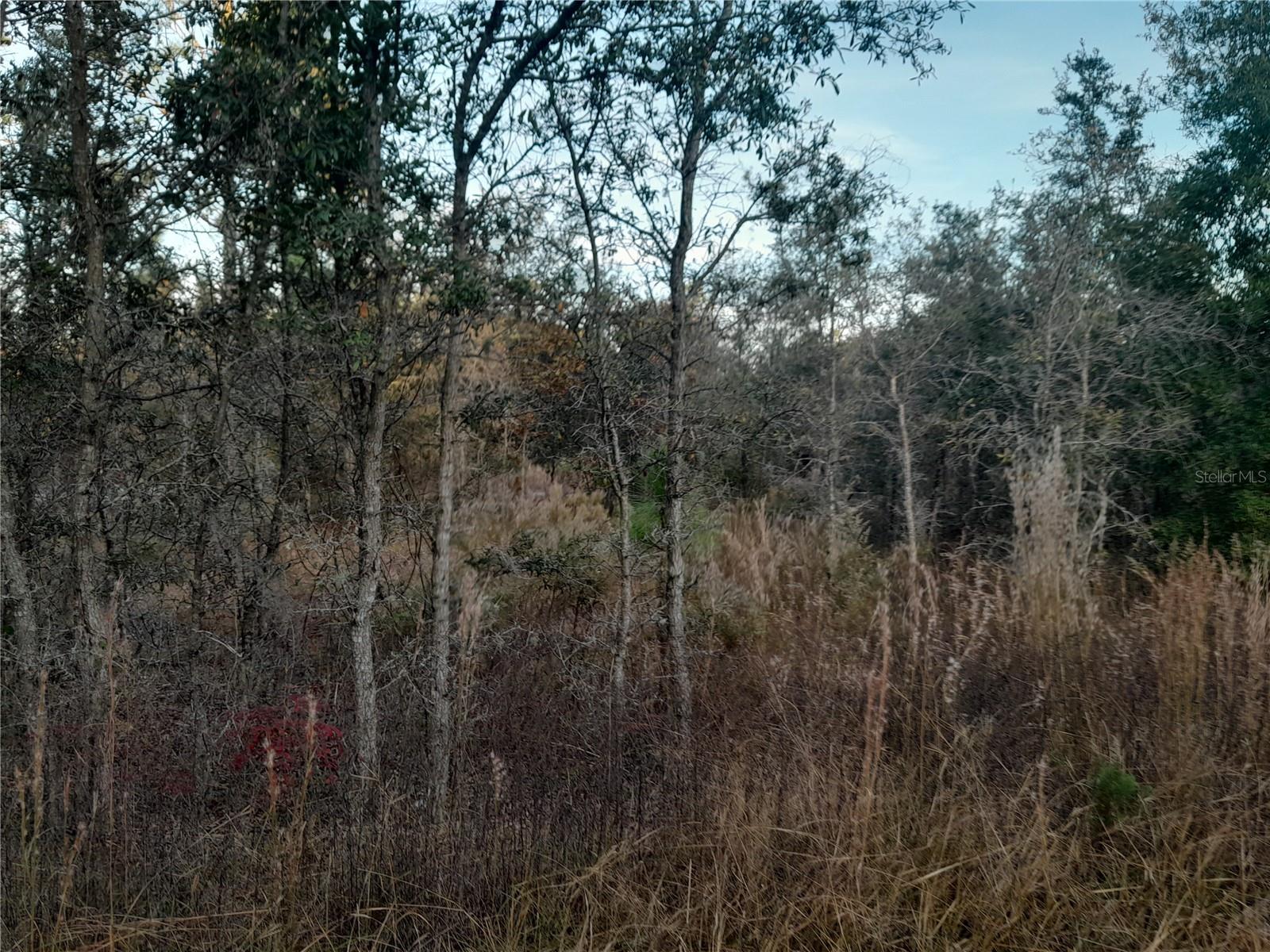 WILLISTON HIGHLANDS UNIT 14 - Land