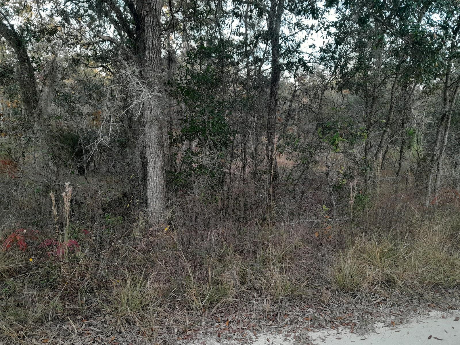 WILLISTON HIGHLANDS UNIT 14 - Land