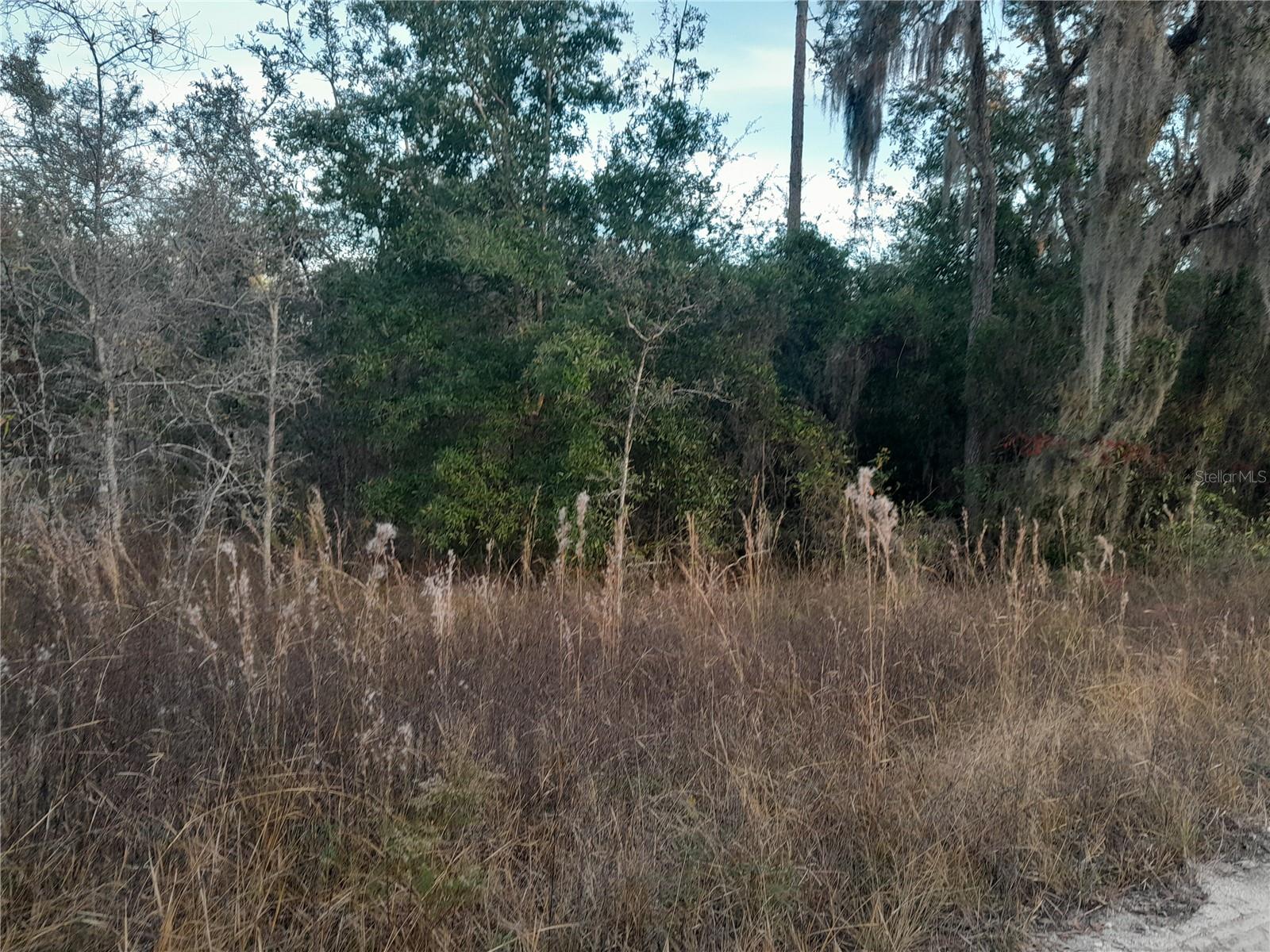 WILLISTON HIGHLANDS UNIT 14 - Land