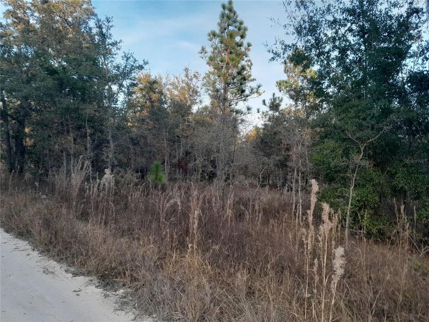 DISCOVER THE PERFECT BLEND OF COUNTRY LIVING and modern convenience with this 1 acre corner parcel (approx. 210x210 ft) in Williston, FL. Zoned Agricultural/Rural Residential A/RR, this property offers endless opportunities whether you're looking to build your dream home, establish a small homestead, or invest for the future.  Just about 15 minutes to Williston for schools, restaurants, shopping, salons, churches, etc.  30 to 35 minutes to Ocala and WEC, Gainesville, HITS Equestrian Center, Black Prong Equestrian Village and Cedar Key for fishing or boating. Come and enjoy the country, relaxing rest of your life!