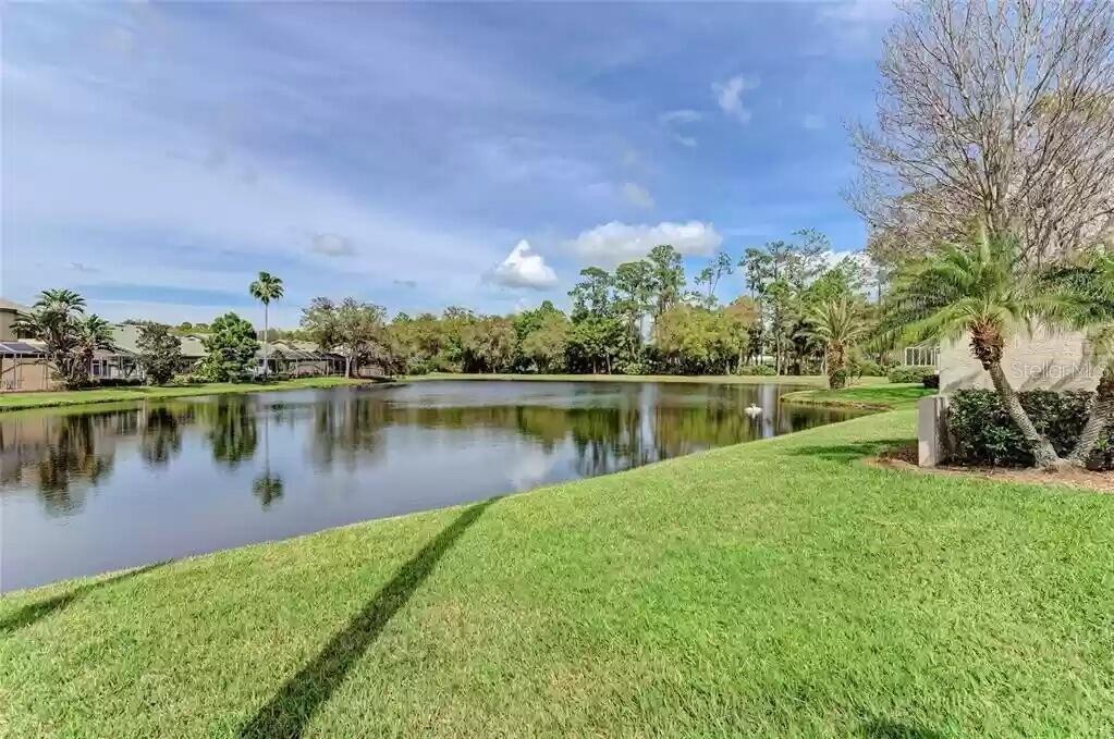 ROSEDALE 11 - Residential Lease