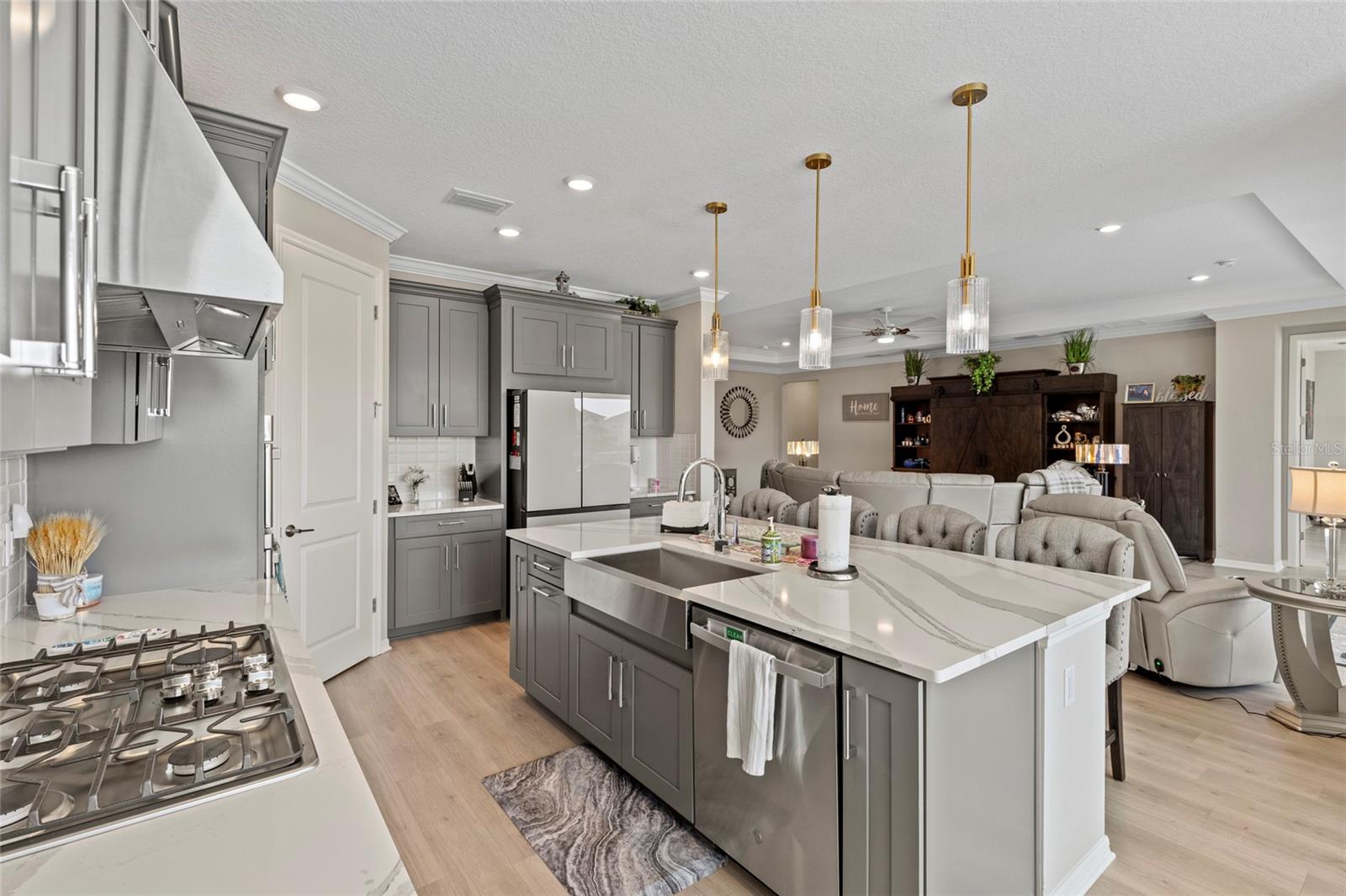 PARK EAST AT AZARIO PH II - Residential