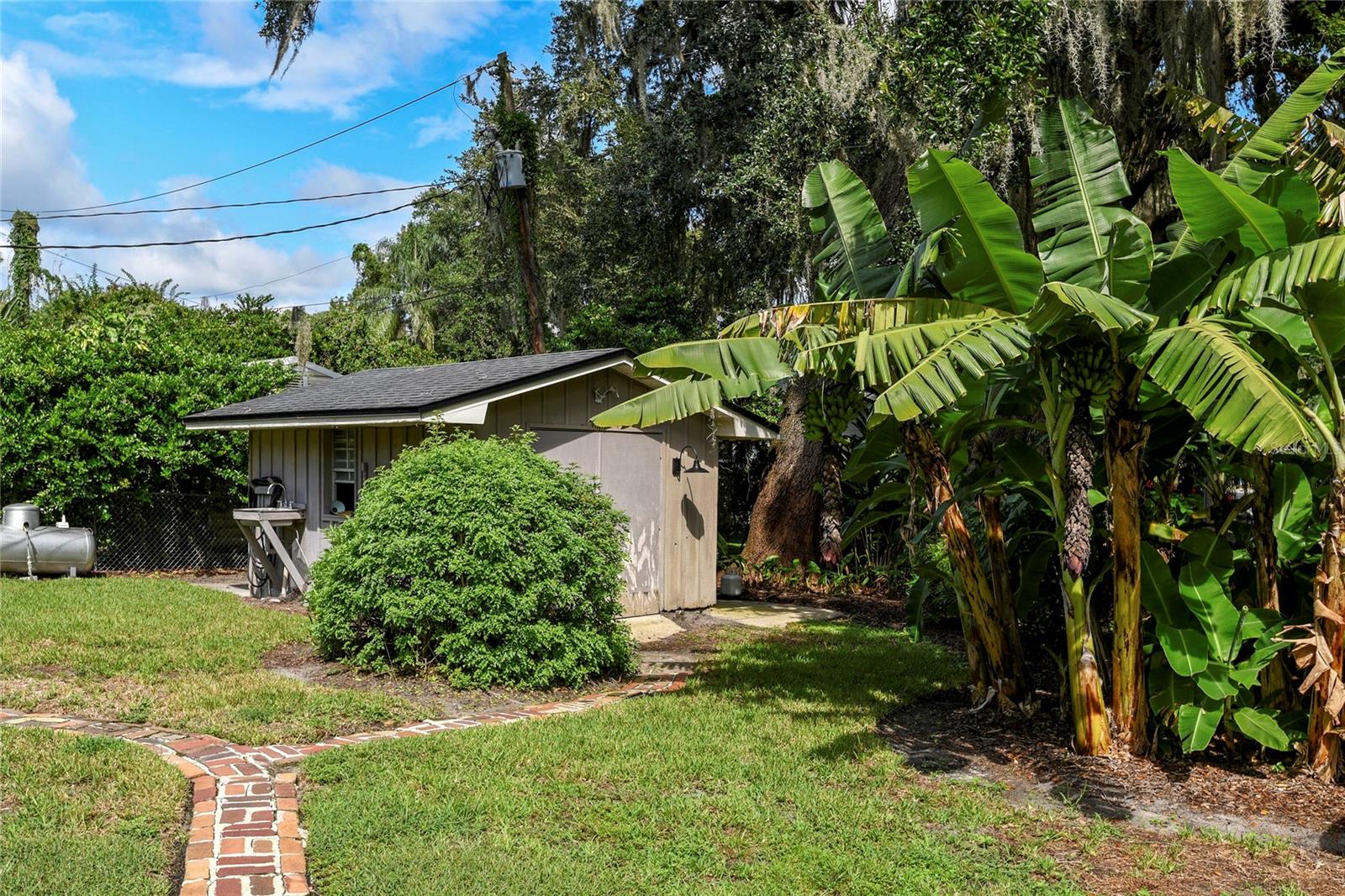 MAITLAND WOODS - Residential