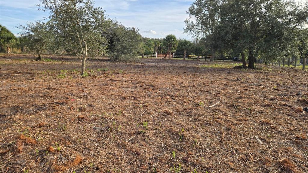 Photo of 15783 NW 296th Street, Okeechobee, FL 34972 (MLS # O6368711)