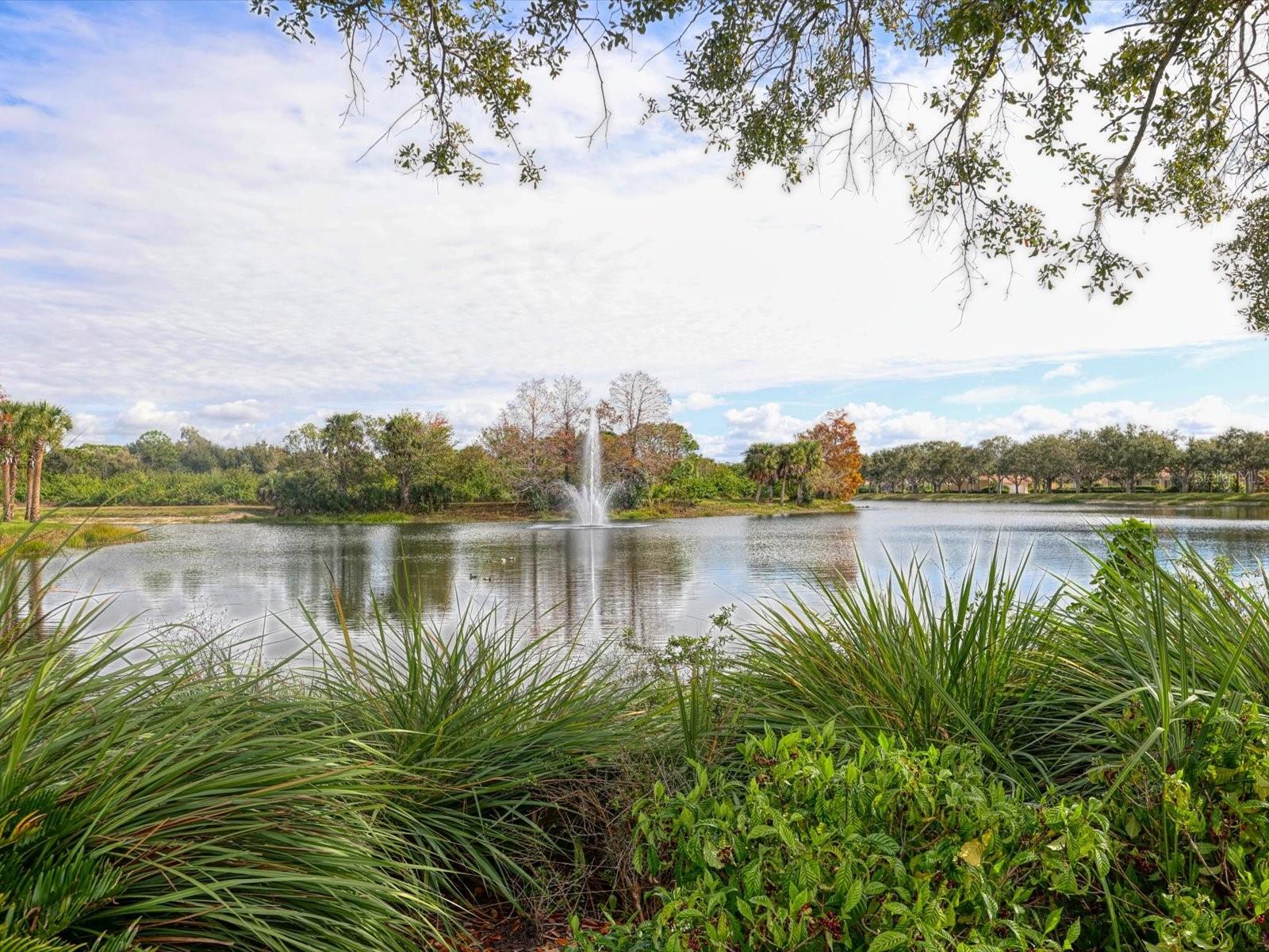 VILLAGEWALK - Residential