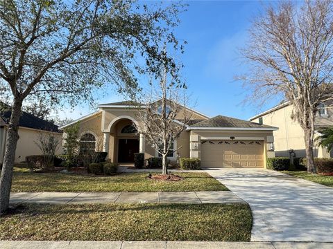 10756 BREAKING ROCKS DRIVE TAMPA FL 33647