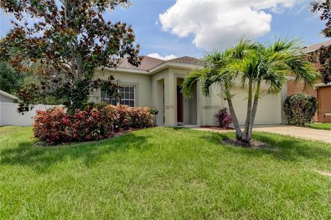 A home in LAND O LAKES