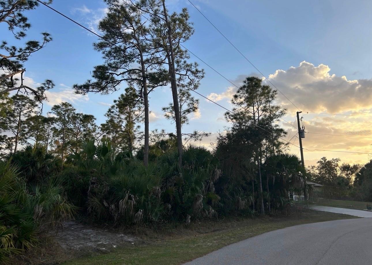 PORT CHARLOTTE SUB 20 - Land