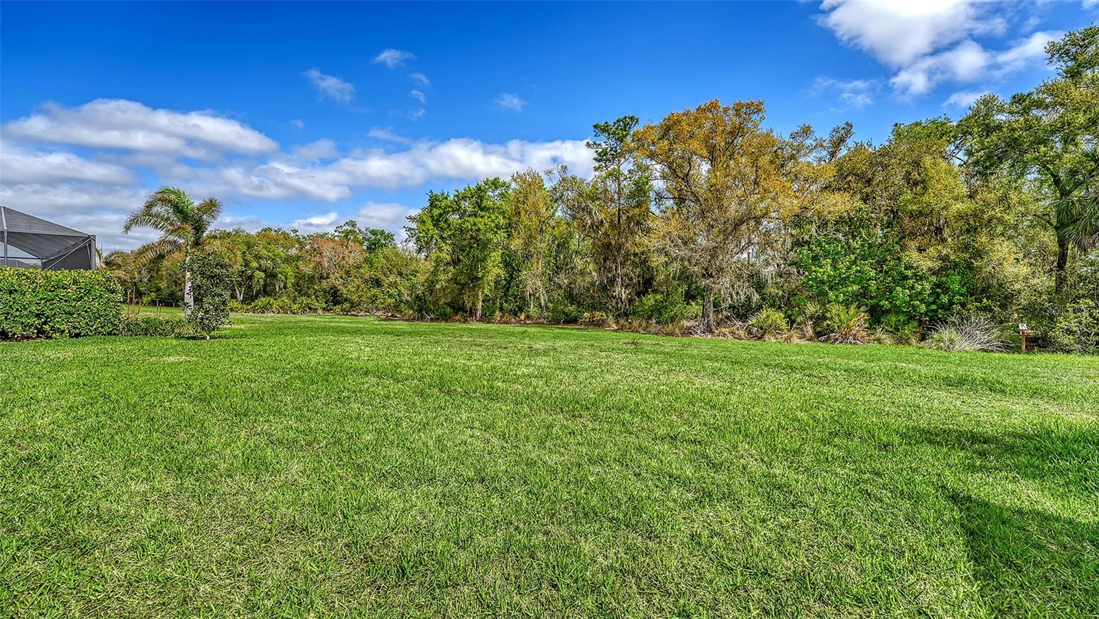 AZARIO ESPLANADE - Residential