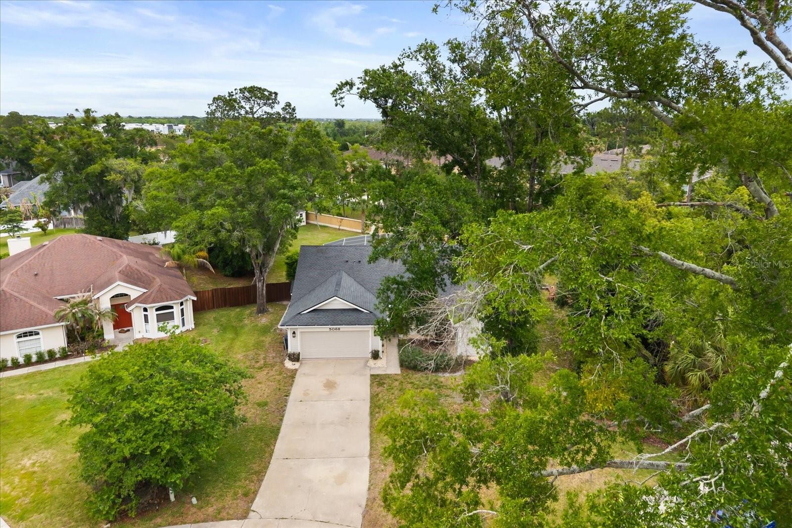 TALL TREES - Residential