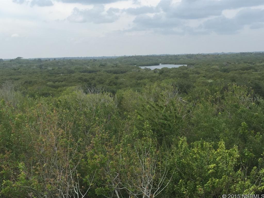 Bethune Volusia Beach - Residential