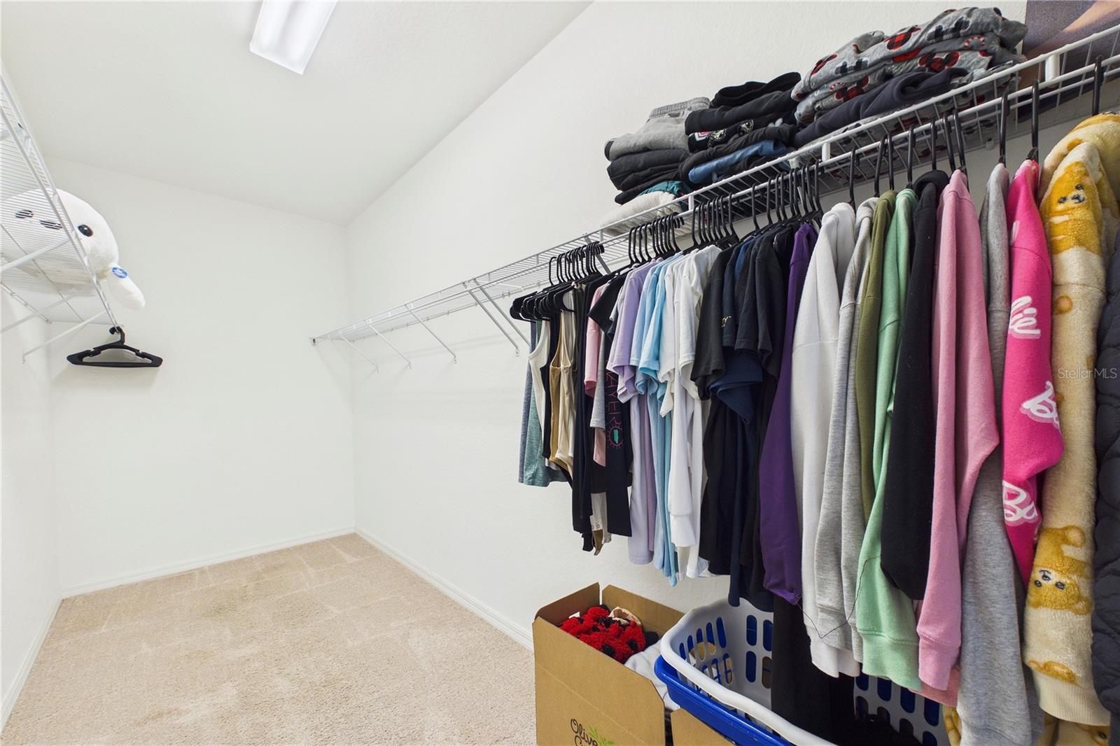 MOSS HAMMOCK - Residential