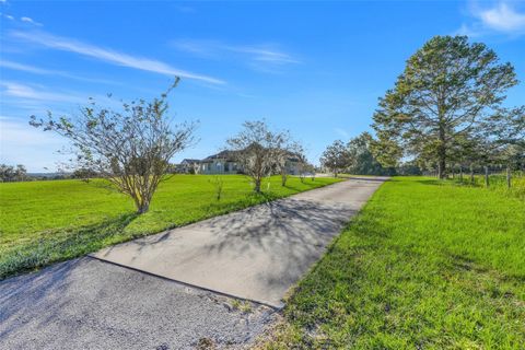 Tiny photo for 20951 County Road 561, Clermont, FL 34715 (MLS # O6296580)