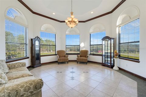 Tiny photo for 20951 County Road 561, Clermont, FL 34715 (MLS # O6296580)