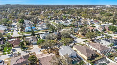 A home in RIVERVIEW