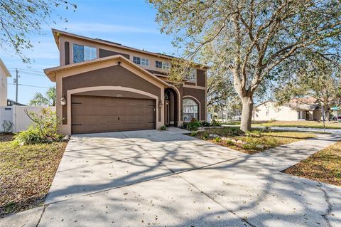 A home in RIVERVIEW