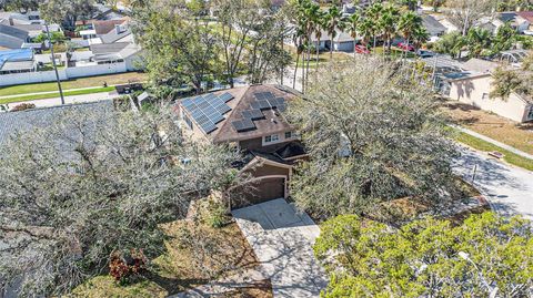 A home in RIVERVIEW