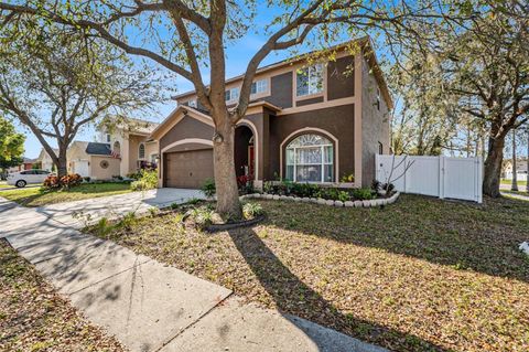 A home in RIVERVIEW