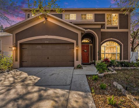 A home in RIVERVIEW