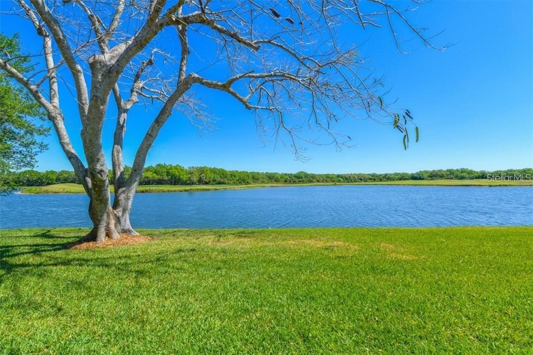 8884 WILD DUNES DRIVE