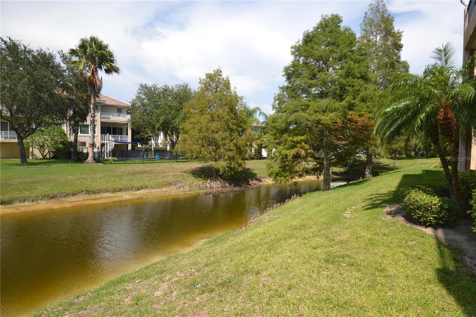 SUNSET BAY TARPON SPGS - Residential Lease