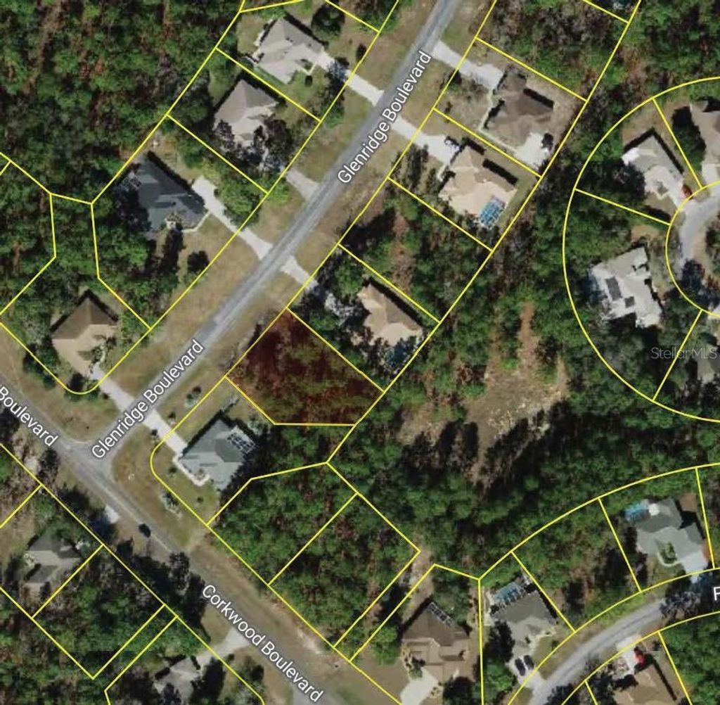 Photo of 3 Glenridge Boulevard, Homosassa, FL 34446 (MLS # O6391255)