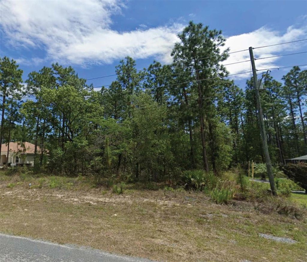 Photo of 3 Glenridge Boulevard, Homosassa, FL 34446 (MLS # O6391255)