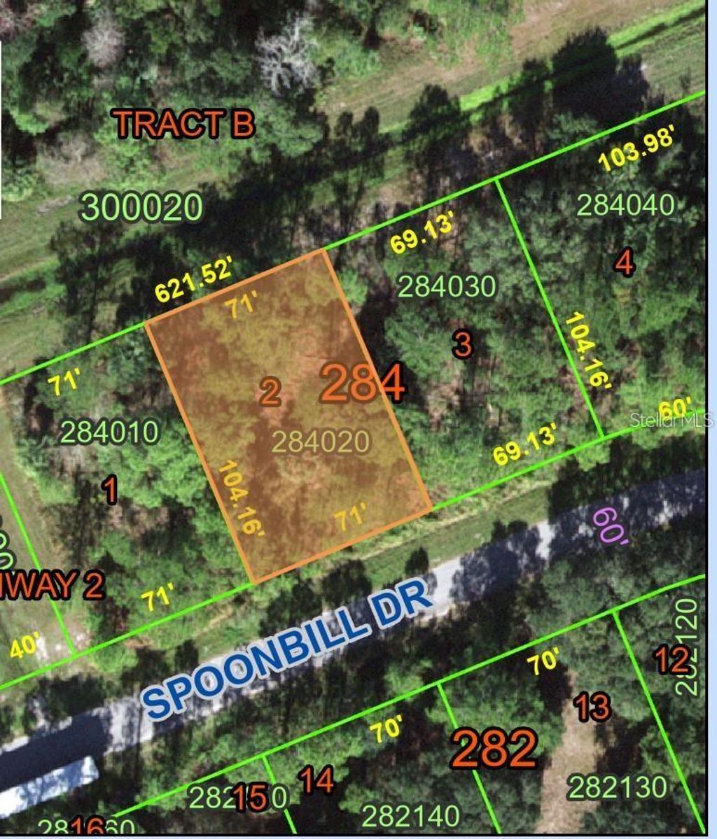 Photo of 274 Spoonbill Drive, Kissimmee, FL 34759 (MLS # OM721641)