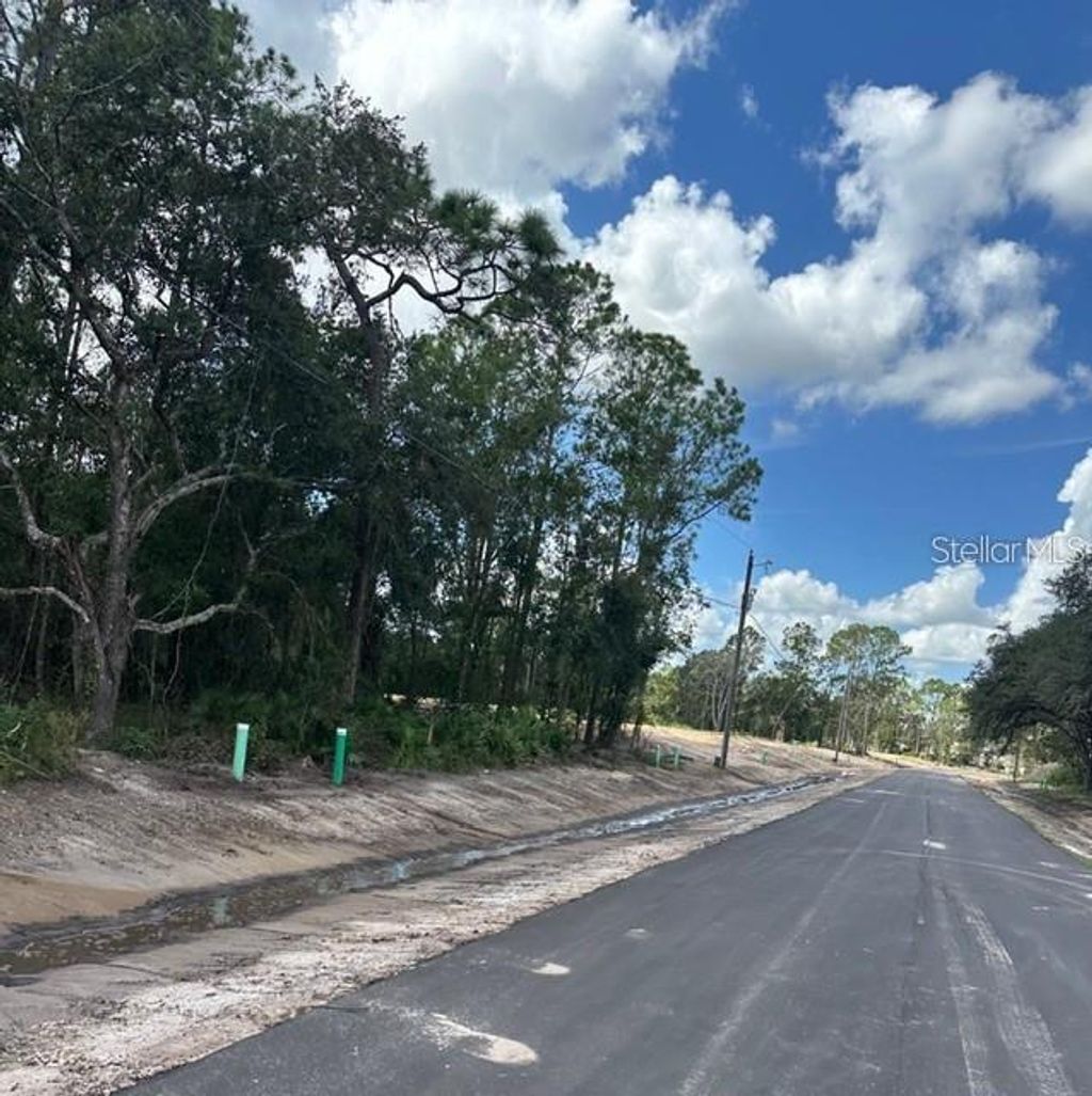 Photo of 274 Spoonbill Drive, Kissimmee, FL 34759 (MLS # OM721641)