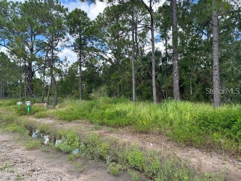 Photo of 274 Spoonbill Drive, Kissimmee, FL 34759 (MLS # OM721641)