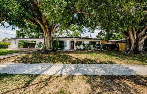 A home in CLEARWATER