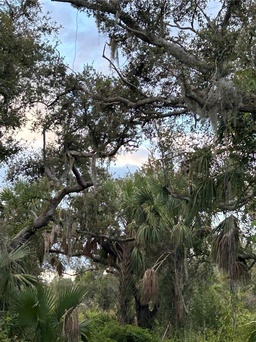 Photo of 29431 Nottingham Road, Punta Gorda, FL 33982 (MLS # OM666471)