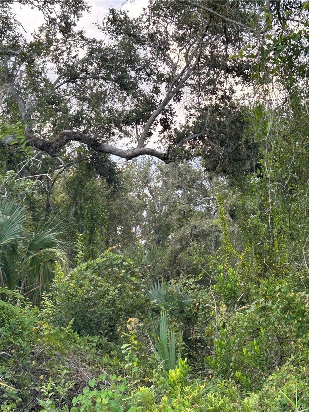 Photo of 29431 Nottingham Road, Punta Gorda, FL 33982 (MLS # OM666471)