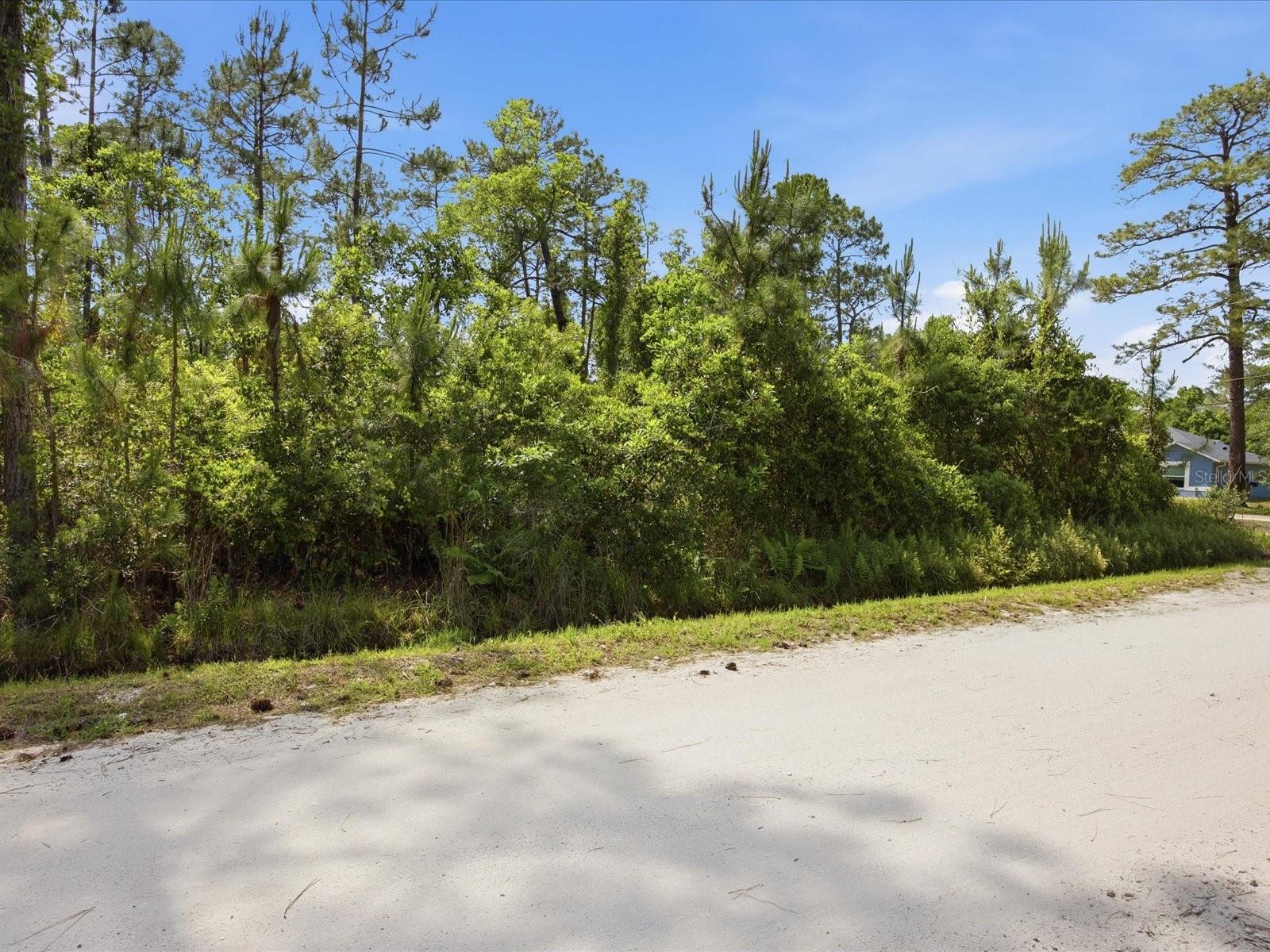 DAYTONA PARK ESTATES SEC E - Land