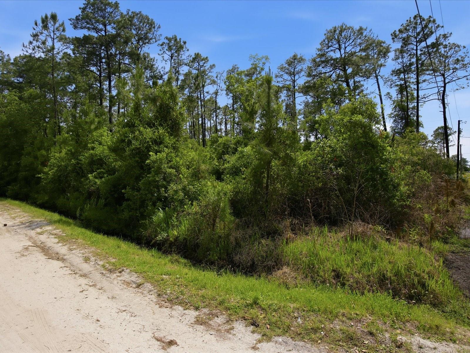 DAYTONA PARK ESTATES SEC E - Land