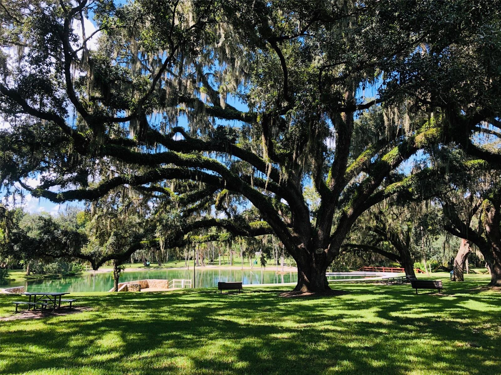 CROWN OAKS 1ST ADD - Residential Lease