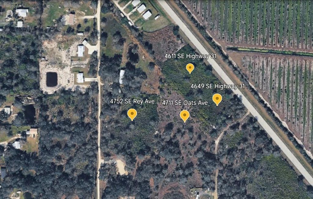 Photo of 4611 SE Highway 31, Arcadia, FL 34266 (MLS # A4684611)