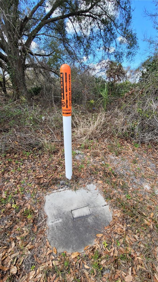 MEADOWS/ARCADIA - Land