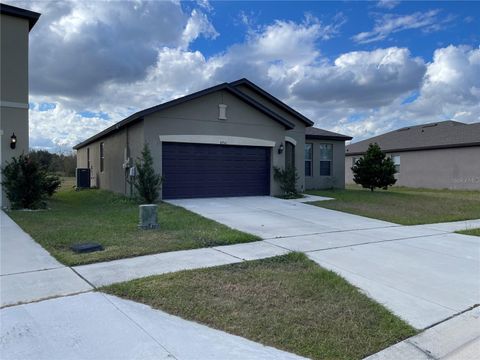 A home in POLK CITY