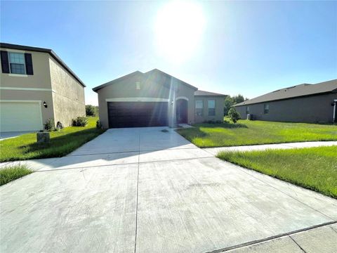 A home in POLK CITY