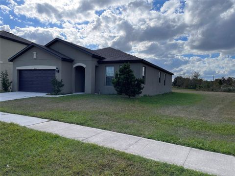 A home in POLK CITY