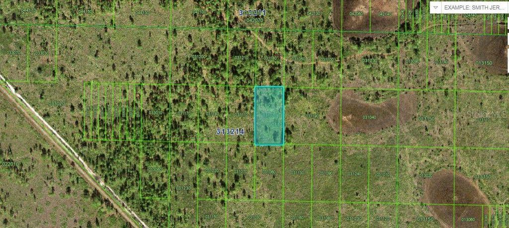 Photo of River Ranch Boulevard, Lake Wales, FL 33898 (MLS # O6265104)