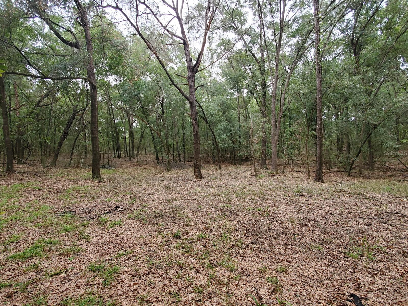 NOT IN SUBDIVISION - Residential Lease