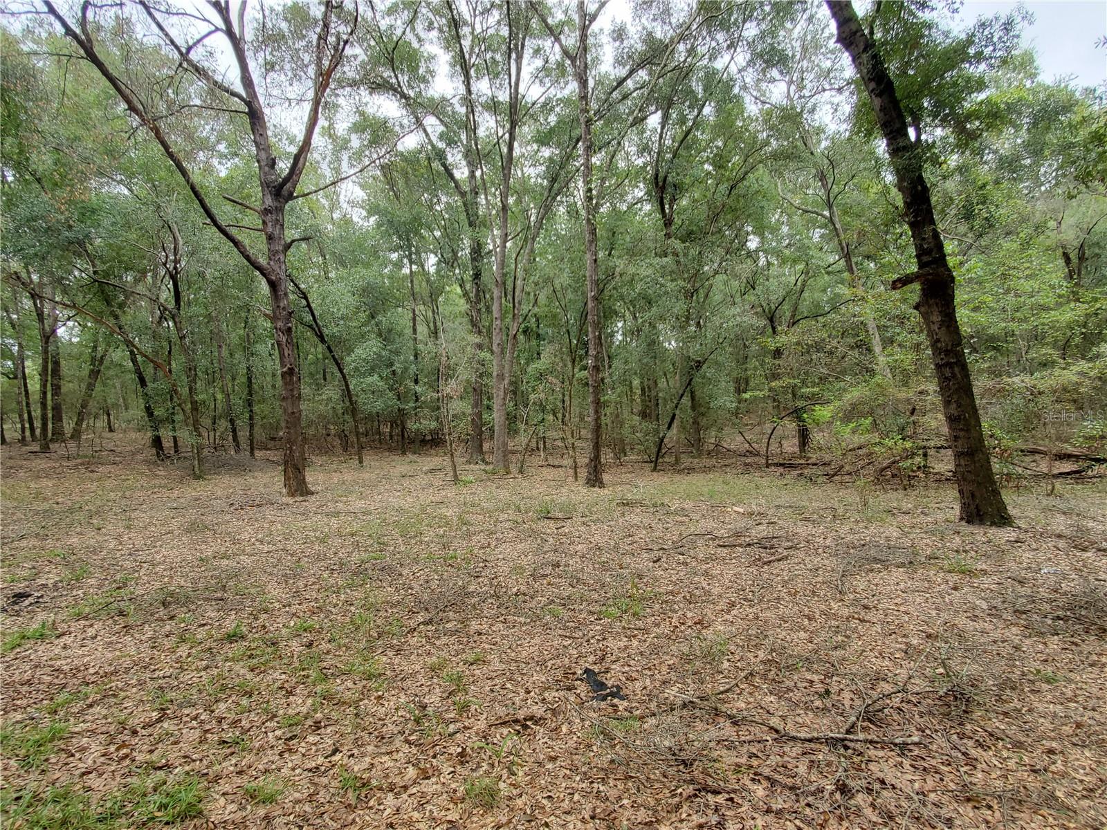 NOT IN SUBDIVISION - Residential Lease