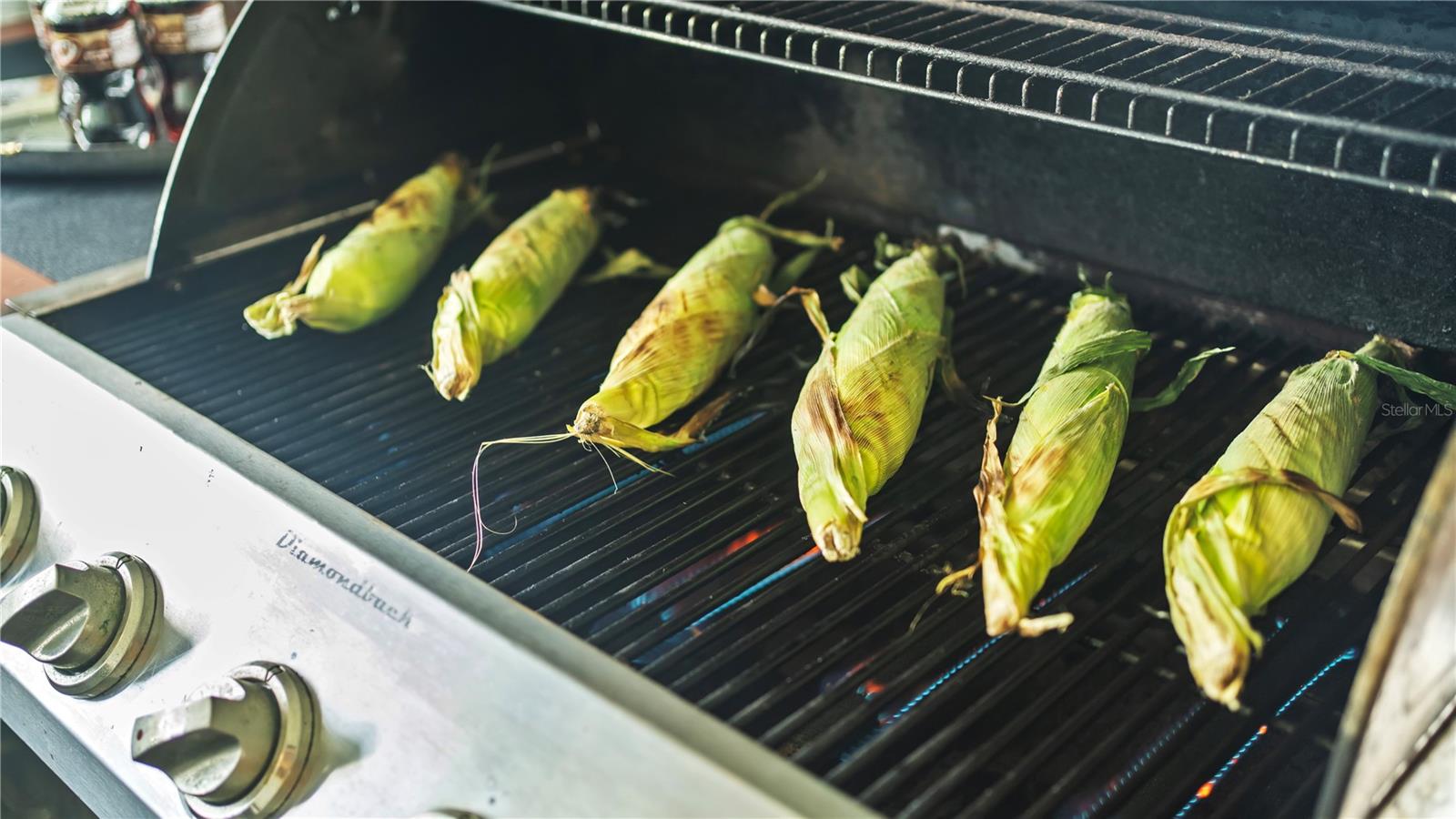 PORT CHARLOTTE SUB 05 - Residential