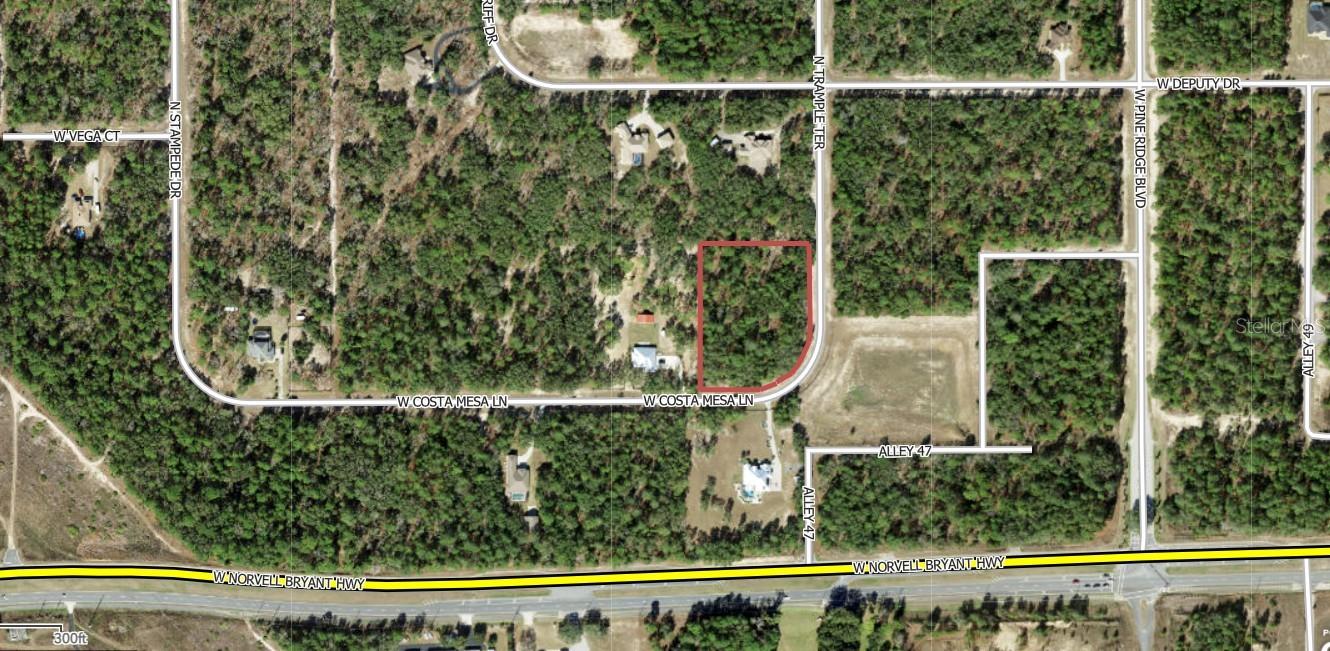 2102 N TRAMPLE TERRACE